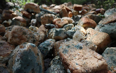 Кировскую пекарню заставили убрать хлебную свалку в лесу