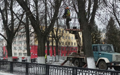 В администрации рассказали, где в Кирове приведут в порядок зелёные насаждения