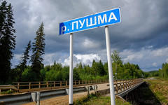 Деревянный мост через Пушму заменят на железобетонный