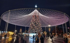 Кировчане могут заказать украшение ёлки