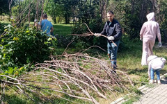 Кировчане семьями почистили Кочуровский парк от мусора и сухих деревьев