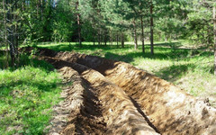 В Кирове выкапывают противопожарные полосы