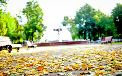Синоптики рассказали, каким будет октябрь в Кировской области
