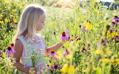 Как научить ребенка любить природу