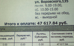 Энергетики объяснили платёжку за свет в 47 тысяч рублей