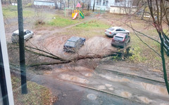 Метеорологи зафиксировали штормовые порывы ветра в Кировской области