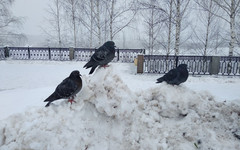 Погода в Кирове. В четверг снова пойдёт снег