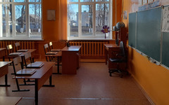 «Идея на уровне бреда». Кировские эксперты высказались по поводу возможности бывшим уголовникам работать учителями