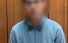 Кировчанина осудили на 5,5 лет за призывы к терактам
