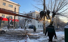 В Кирове обрезали деревья на семи улицах