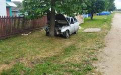 В Пижанском районе водитель отечественной легковушки на скорости въехал в дерево