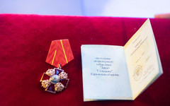 Губернатор вручил орден Александра Невского коллективу «Сельмаша»