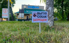 Где в Кирове можно выгуливать домашних животных?