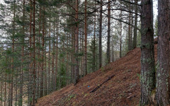В четверг в Кирове ожидается дождь со снегом и гололедица