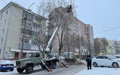 На прошлой неделе в Кирове обрезали деревья на семи улицах