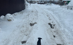 «Ни ответа, ни привета»: жители Гнусино жалуются, что деревня утопает в снегу