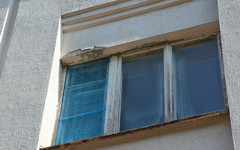На улице Цеховой в Кирове двухлетняя девочка выпала из окна