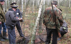 МВД и Росгвардия будут патрулировать  леса