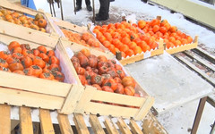 В Кирове после проверок закрыли «Сытный двор» у «Росинки» и Коневский рынок