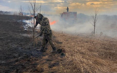 В Немском районе загорелась сухая трава
