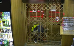 Кировчанин, пытаясь обворовать магазин, застрял между решёткой и дверью