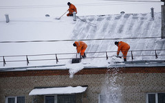 Шульгин потребовал очистить крыши к 16 января