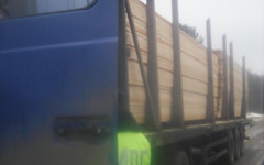 Из Кировской области пытались незаконно вывезти лес