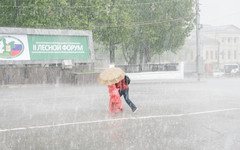 Погода в Кирове. В четверг ожидается сильный ветер и дождь