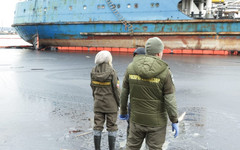 Экологический ущерб от крушения танкеров в Чёрном море обошёлся в 85 млрд рублей
