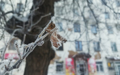В среду в Кирове будет морозно и ветрено