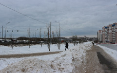 Повреждённые при уборке снега деревья будут восстановлены за счёт подрядчиков