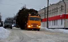 В Слободском показали процесс доставки главной ёлки