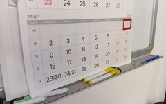 Алименты, автошколы и отработка для врачей. Какие законы вступят в силу с 1 марта 2026 года