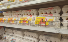 В областном правительстве сообщили о снижении цен на яйца