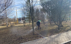 В Кировской области начался первый этап противоклещевой обработки