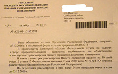 Проблемой организации ТБО в деревне Осинцы займётся администрация президента РФ