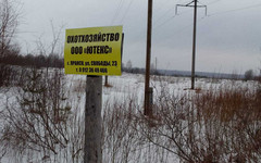 В Яранском районе не смогли найти трупы кабанов