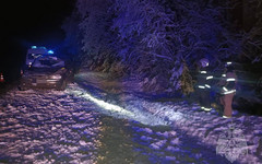 В Сунском районе автомобиль столкнулся с лосем