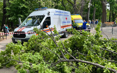 В Саратове из-за упавшего дерева погибли женщина и ребёнок