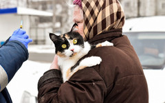 В Первомайском районе проведут выездную вакцинацию животных