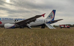Пассажирский самолёт сел на грунт в Новосибирской области