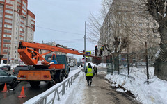 На девяти улицах Кирова провели санитарную обрезку деревьев