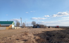 Возгорание травы в деревне Бурино помогли потушить местные жители