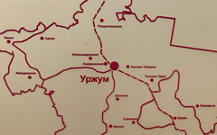В Уржуме росгвардейцы поймали вора с алкоголем и рыбной нарезкой