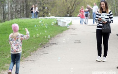 В парке у цирка проведут бесплатную эколого-краеведческую экскурсию