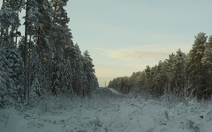 В пятницу в Кирове ожидается снег с дождём