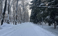 В Кирове резко потеплеет и снова ударит гололёд