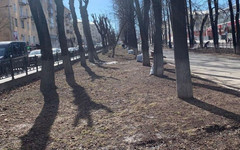 На Октябрьском проспекте собрали 200 мешков мусора
