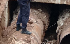 На улице Молодой Гвардии во время раскопок обнаружили неизвестные останки