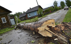 В Кировской области объявили метеопредупреждение на 29 сентября